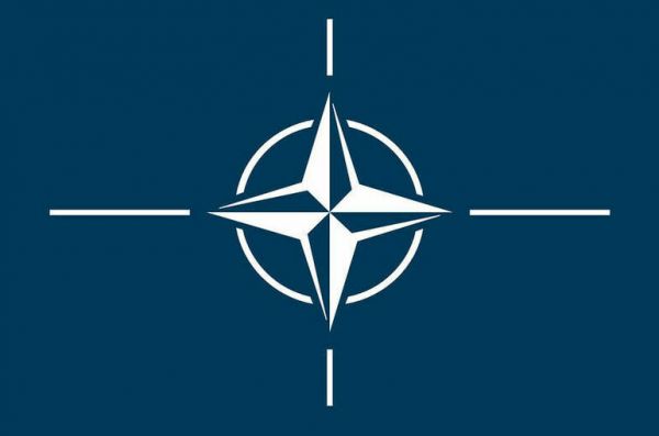 Штольц: войска НАТО не будут вмешиваться в события на Украине 