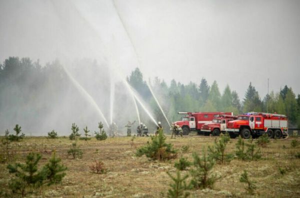 В МЧС рассказали, сколько пожаров удалось остановить на подступах к населённым пунктам