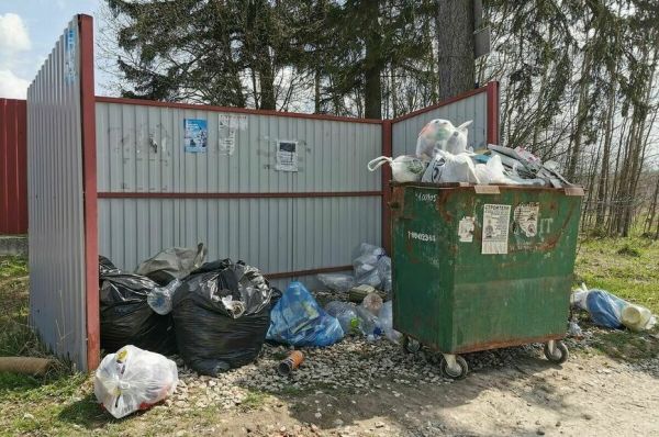 Экологическим общественным инспекторам хотят дать право участвовать в проверках