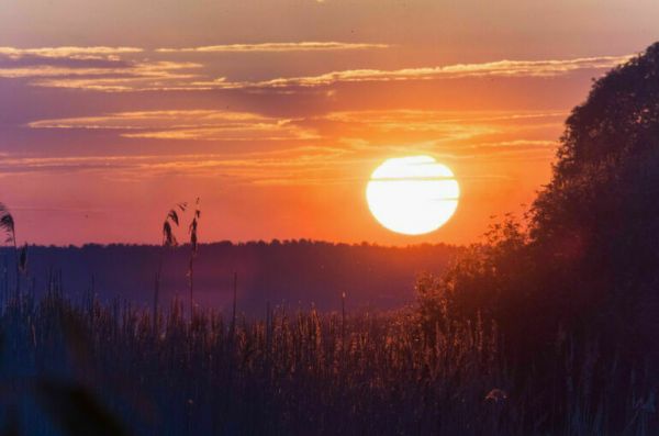 Кобылкин: Законопроект об организации туризма в нацпарках примут в ближайшее время