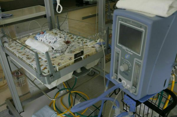 Путин подписал закон о регистрации детей по месту жительства родителей