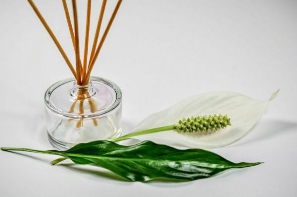 Врач напомнил об опасности ароматизаторов и отдушек