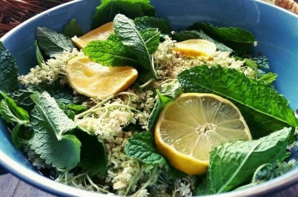 Диетолог рассказала о приправе, которая помогает не переедать Диетолог рассказала о приправе, которая помогает не переедать