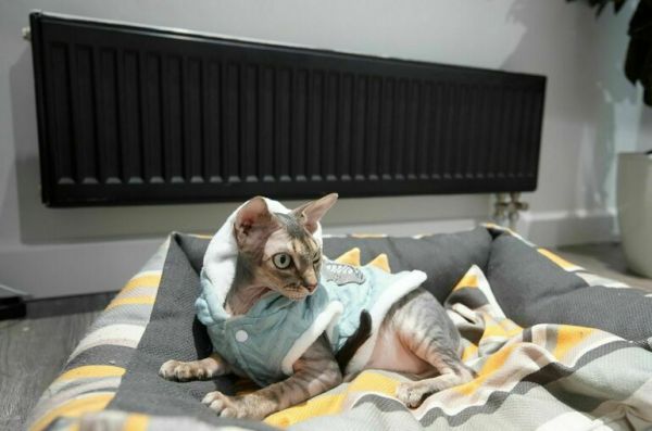 Евросоюз будет готовиться к зимнему сезону без российского газа