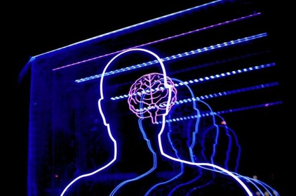 Как жара влияет на работу мозга