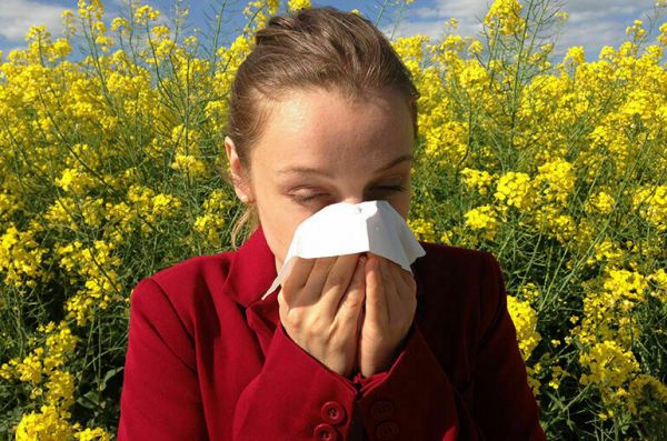 Кто рискует стать аллергиком Кто рискует стать аллергиком