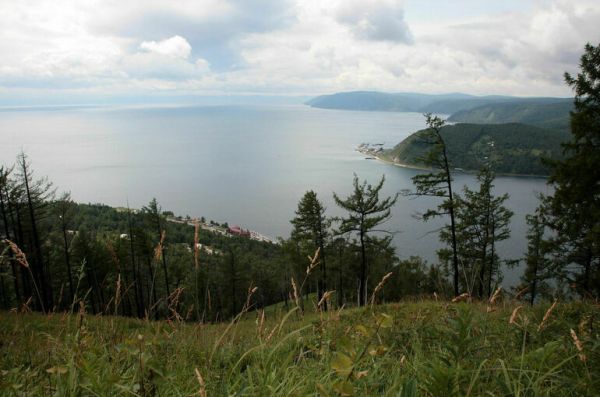 На Байкальской природной территории предложили разрешить санитарные рубки деревьев На Байкальской природной территории предложили разрешить санитарные рубки деревьев