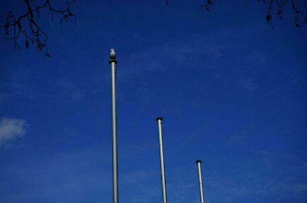 На освобожденных территориях Харьковской области утвердили герб и флаг