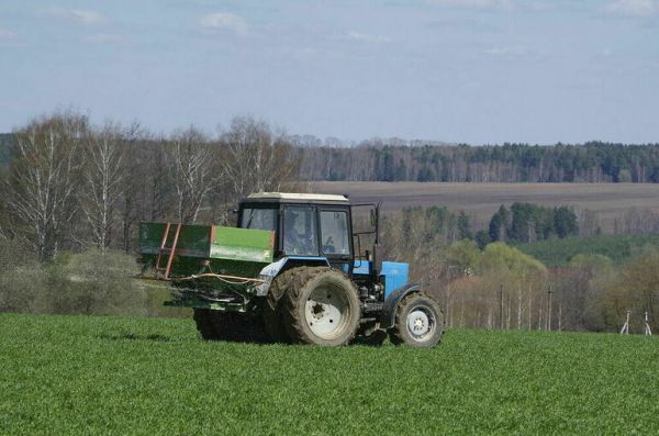 ООН призывает вернуть продовольствие и удобрения из России на мировые рынки