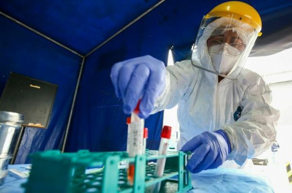 Риск распространения обезьяньей оспы в России невелик