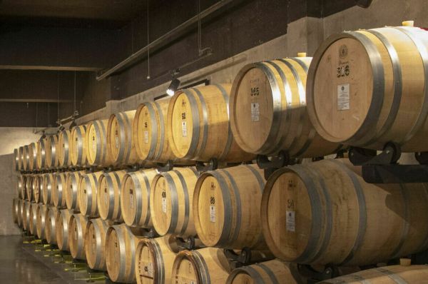 Утром виноградники, вечером &mdash; отели