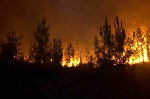 В Португалии ввели режим ЧС из-за пожаров в лесах В Португалии ввели режим ЧС из-за пожаров в лесах