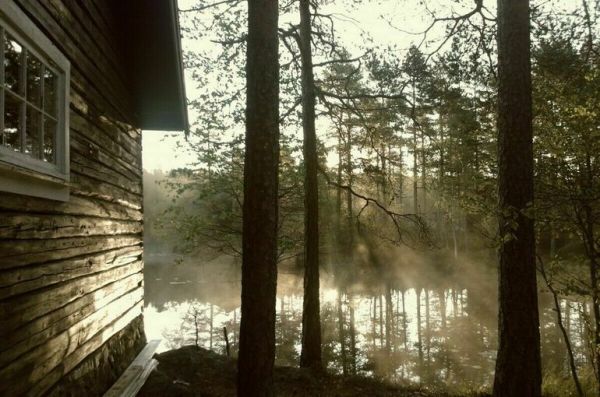 В России утвердили план развития многоэтажного деревянного домостроения