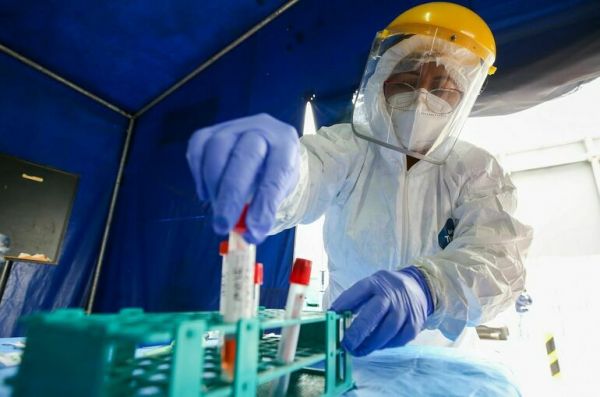 В США зафиксирована самая высокая в мире заболеваемость обезьяньей оспой