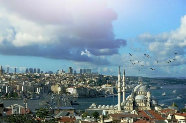 В Стамбуле проходит четырехсторонняя встреча по вывозу зерна с Украины В Стамбуле проходит четырехсторонняя встреча по вывозу зерна с Украины