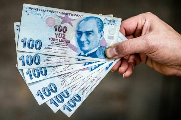 Эксперт рассказал о возможных условиях приобретения Россией турецкой лиры