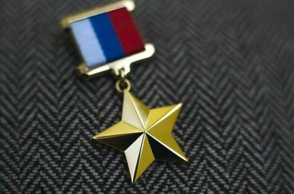 Фролова указала на важность учреждения новых госнаград