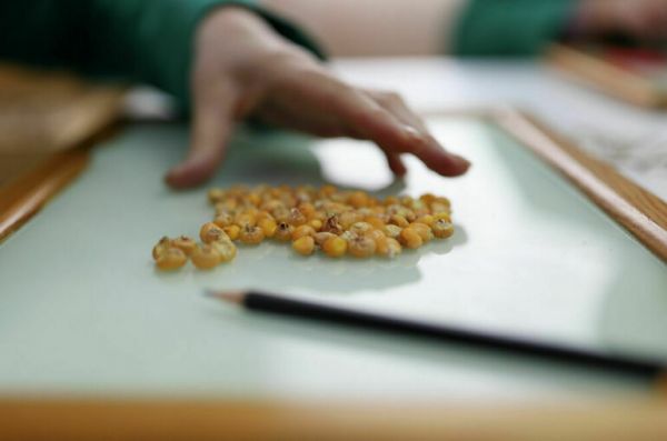 Сроки регистрации новых сортов семян предлагают сократить