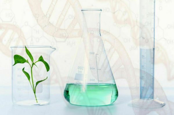 ВЦИОМ рассказал о заблуждениях россиян относительно ГМО ВЦИОМ рассказал о заблуждениях россиян относительно ГМО