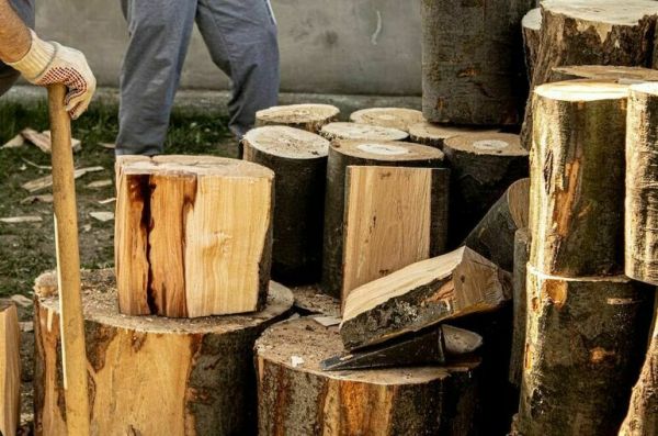 Чабанам и дровоколам помогут найти работу