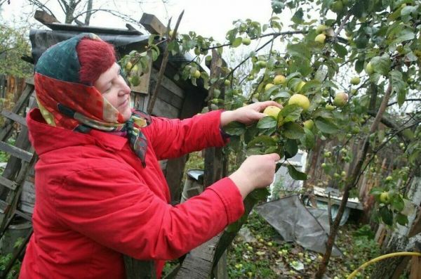 Что в первую очередь нужно спасать на дачном участке при заморозках