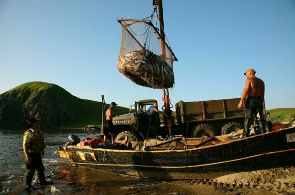 Россия будет строже контролировать зарубежных инвесторов в рыболовстве