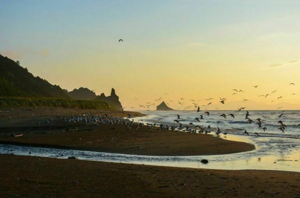 Туристический поток на Дальнем Востоке вырос на 38%