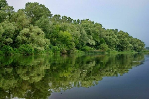 Украинские войска обстреляли Антоновский мост возле Херсона