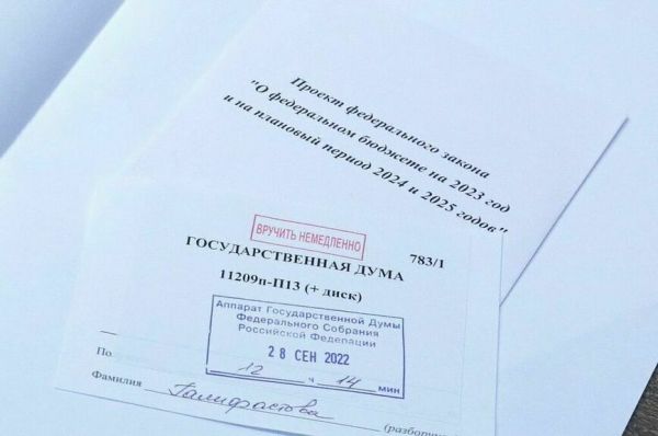 В Госдуме назвали приоритеты бюджета на 2023&mdash;2025 годы