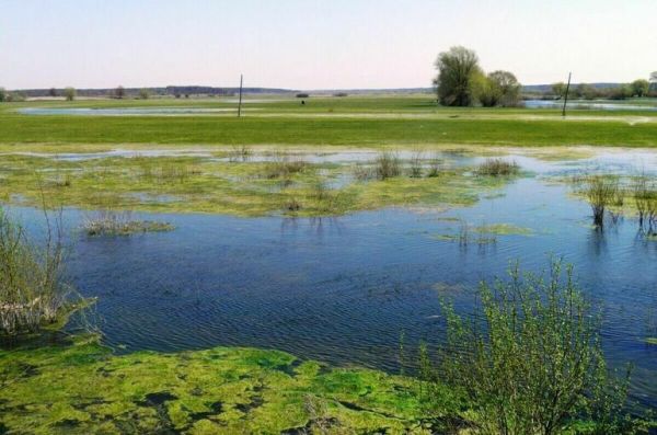 В районе Энергодара высадился украинский десант