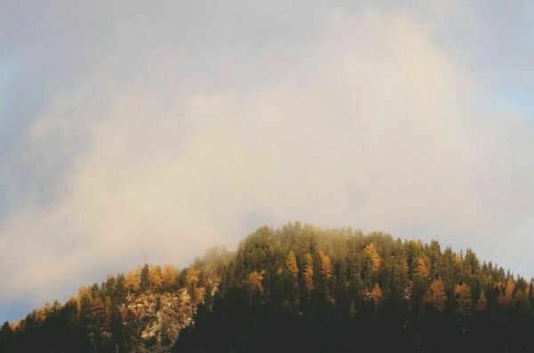 В Рязанской области сняли введенный из-за лесных пожаров режим ЧС