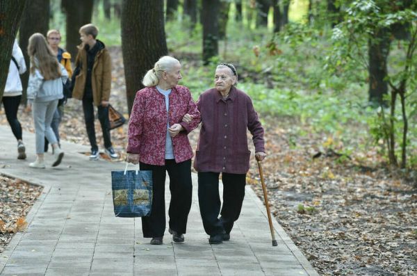 Единый Социальный фонд потратит 13,5 трлн рублей на выплаты россиянам в 2023 году Единый Социальный фонд потратит 13,5 трлн рублей на выплаты россиянам в 2023 году