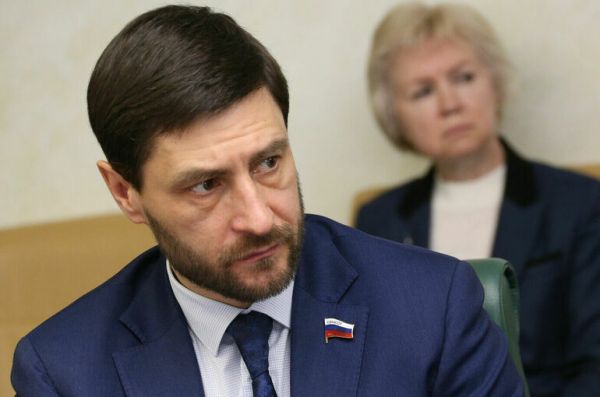 Сенатор Синицын предложил давать время на передачу бизнеса не только ИП