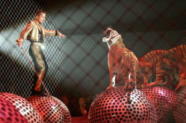 В Минкультуры надеются на включение цирков в &laquo;Пушкинскую карту&raquo;