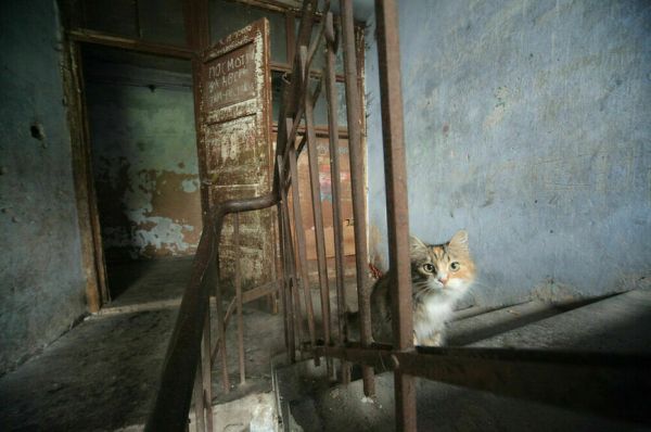 100 миллионов квадратов аварийного жилья и недоступность ипотеки