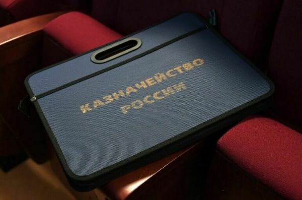 Полномочия Федерального казначейства в отношении страховых взносов расширят