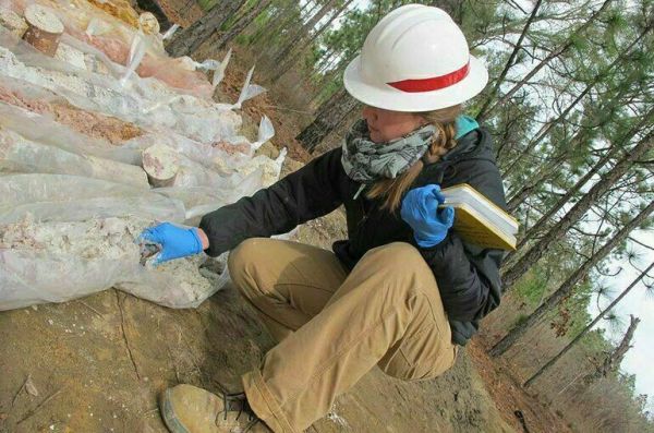 К поискам новых месторождений хотят привлечь частников