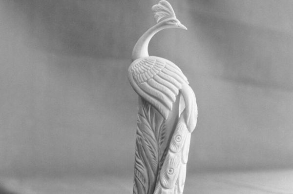 Как приручить мамонта&hellip; в столице