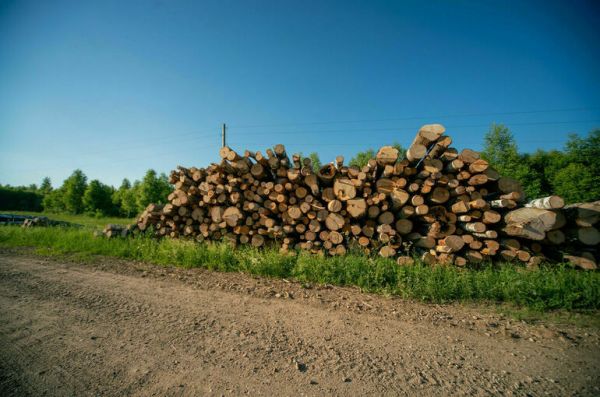 Сенатор Двойных сравнил воду и лес с нефтью следующего поколения