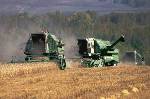 В России начнет действовать программа подготовки кадров для работы в селах