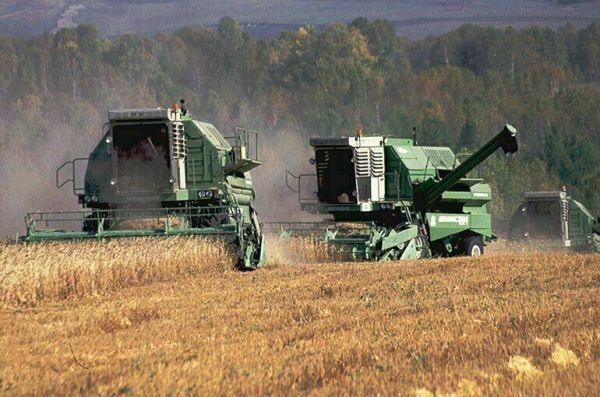 Как взять землю в аренду