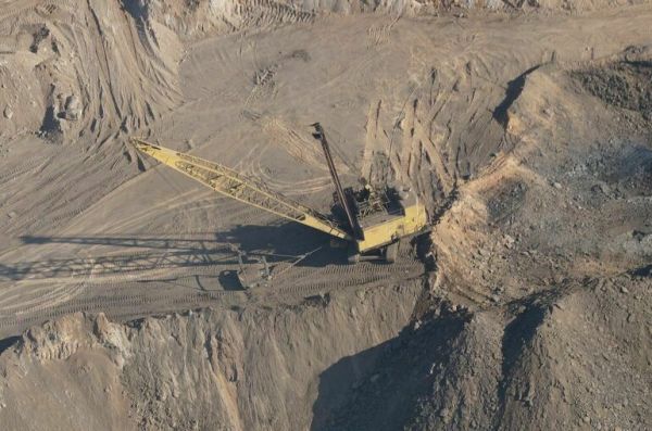 На добывающие компании предложили возложить заботу о животных