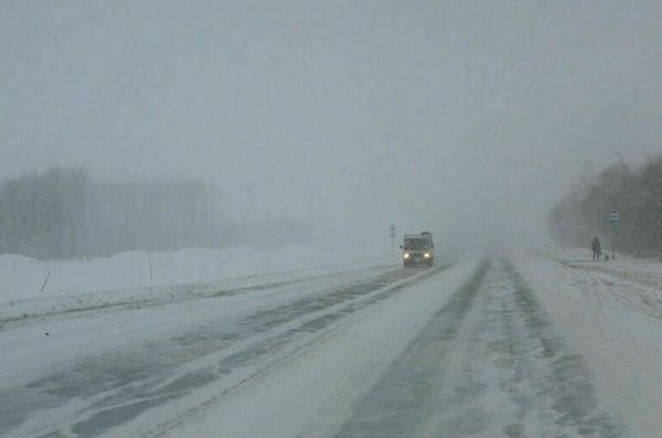 На трассе М-4 &laquo;Дон&raquo; из-за снегопада эвакуирован 51 человек