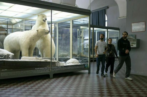 В Минцифры предупредили о махинациях мошенников с Пушкинской картой