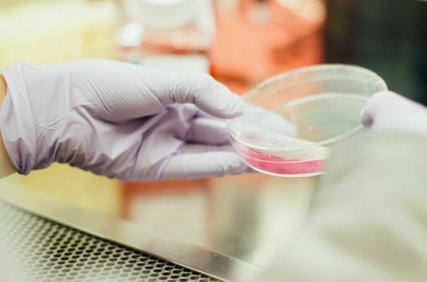 Вирусолог: Эпидемия сибирской язвы не грозит России