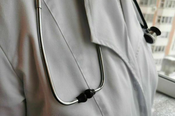 Врач рассказал, чем опасны появившиеся в Петербурге лосиные мухи