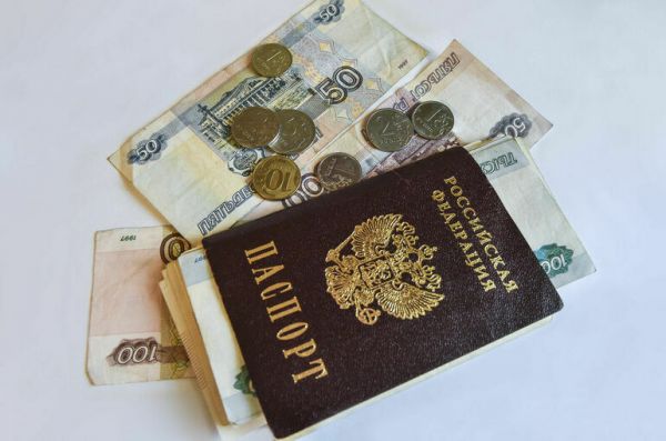 Детей из многодетных семей хотят освободить от уплаты пошлины за выдачу паспорта Детей из многодетных семей хотят освободить от уплаты пошлины за выдачу паспорта