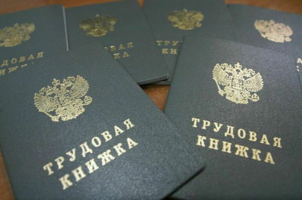 Практику и стажировку предложили считать &laquo;нулевым&raquo; рабочим местом