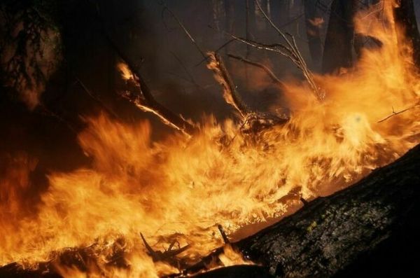 В Сосьве рассказали о ликвидации пожара