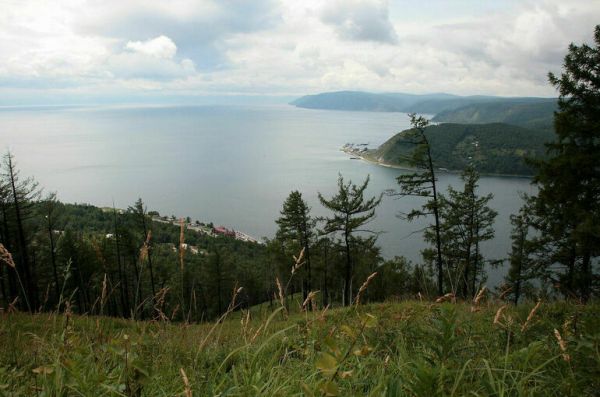 В Байкале обнаружили новый вид паразита пресноводных рыб